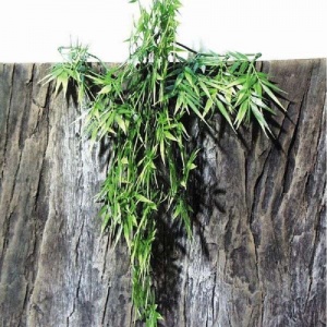 JBL TerraPlanta Canabis - Искусственное подвесное растение для террариумов, 50 см.