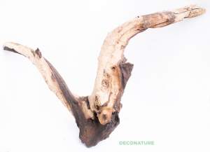 DECO NATURE MOPANE WOOD - Натуральная коряга африканского дерева мопани от 30 до 39 см