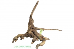 DECO NATURE PREMIUMSELECT TROPICAL 2XL - Натуральная коряга тропического дерева от 40 до 49 см