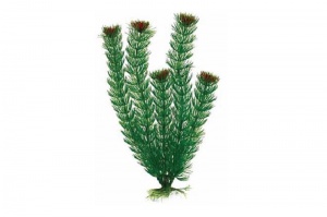 Пластиковое растение Plant 002 - Амбулия ЗЕЛЕНАЯ, 20 см