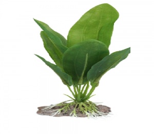 Искусственное растение Амазонский, 20 см, YM-5834
