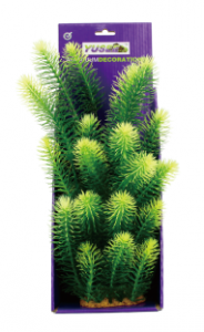 Искусственное растение КАБОМБА ЗЕЛЕНАЯ, 38 см, YS-60510-1