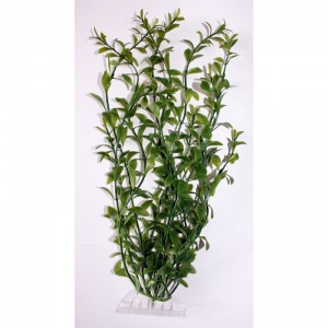 Растение аквариумное Hygrophila 5 (XXL)  46см.  607156