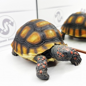 Декор  Угольная черепаха для аквариума 10*6,5*5 см