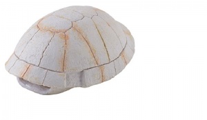 Убежище-декор панцирь черепахи для террариума
