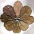 DECOTOP Catappa S – Листья индийского миндаля, 15-20 см, 10 шт.