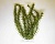 Растение аквариумное Anacharis 2 (M)  23см.  606944
