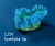 Искуственный коралл Symfylia Sp 9x6x5