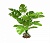 Искусственное растение МОНСТЕРА, 30 см, YM-5847